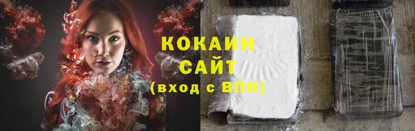 мдпв Дмитров