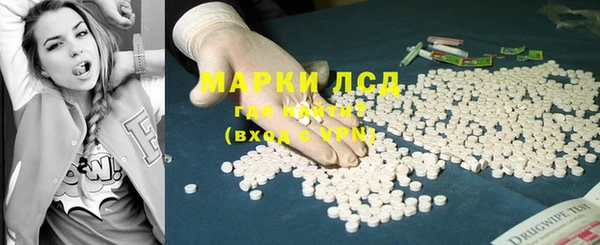 кокс Гусев