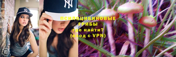 альфа пвп Дмитриев