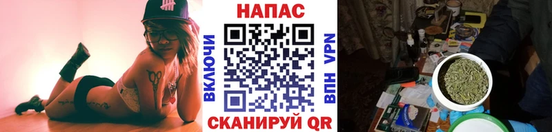 Купить закладки  Бирюч  Бошки Шишки OG Kush 